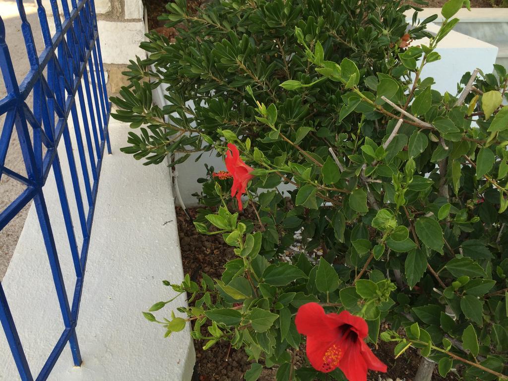 Sea Breeze Apartments Chios Monolia المظهر الخارجي الصورة