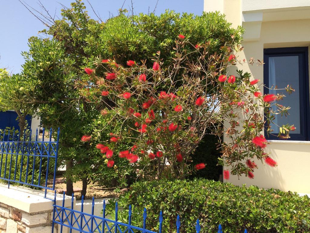 Sea Breeze Apartments Chios Monolia المظهر الخارجي الصورة
